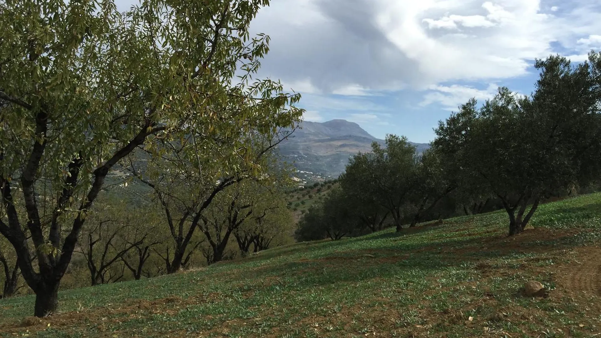 Villa La Fuente Mondron 0*,
