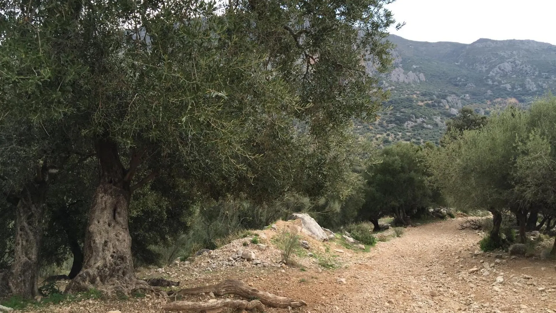 Villa La Fuente Mondron