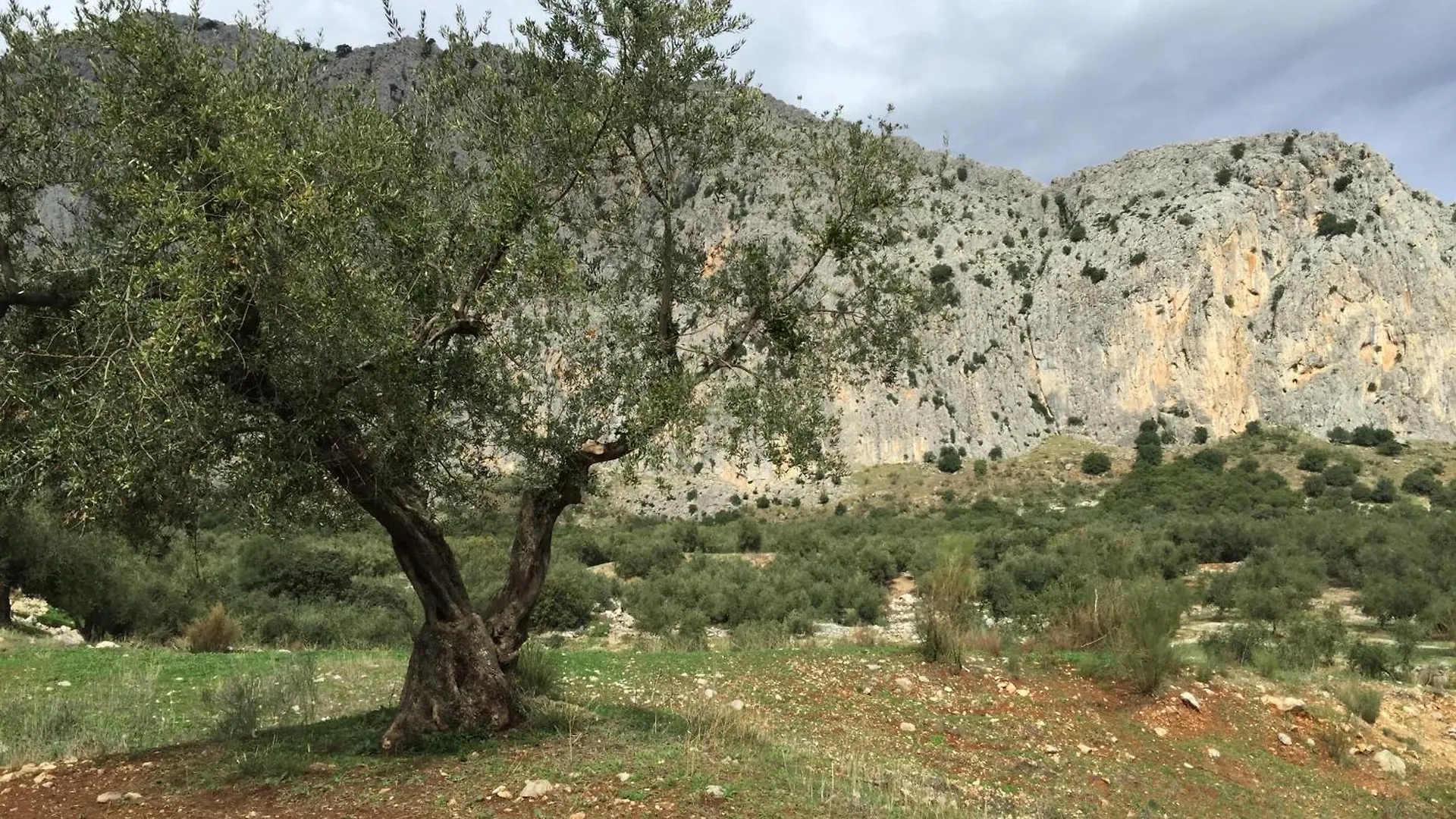 Villa La Fuente Mondron 0*,  Spain