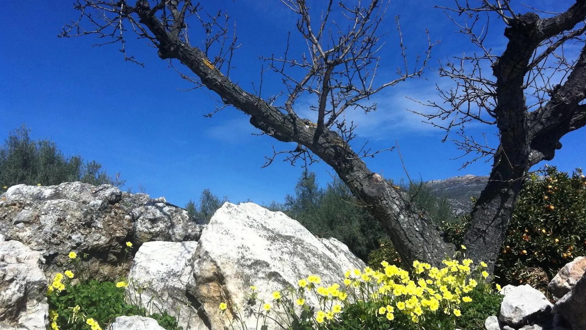 Villa La Fuente Mondron