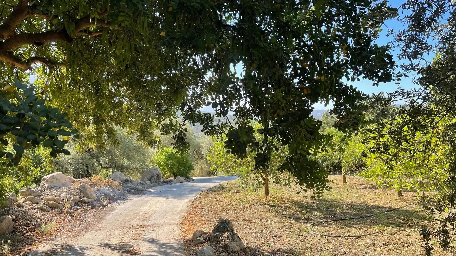 Villa La Fuente Mondron